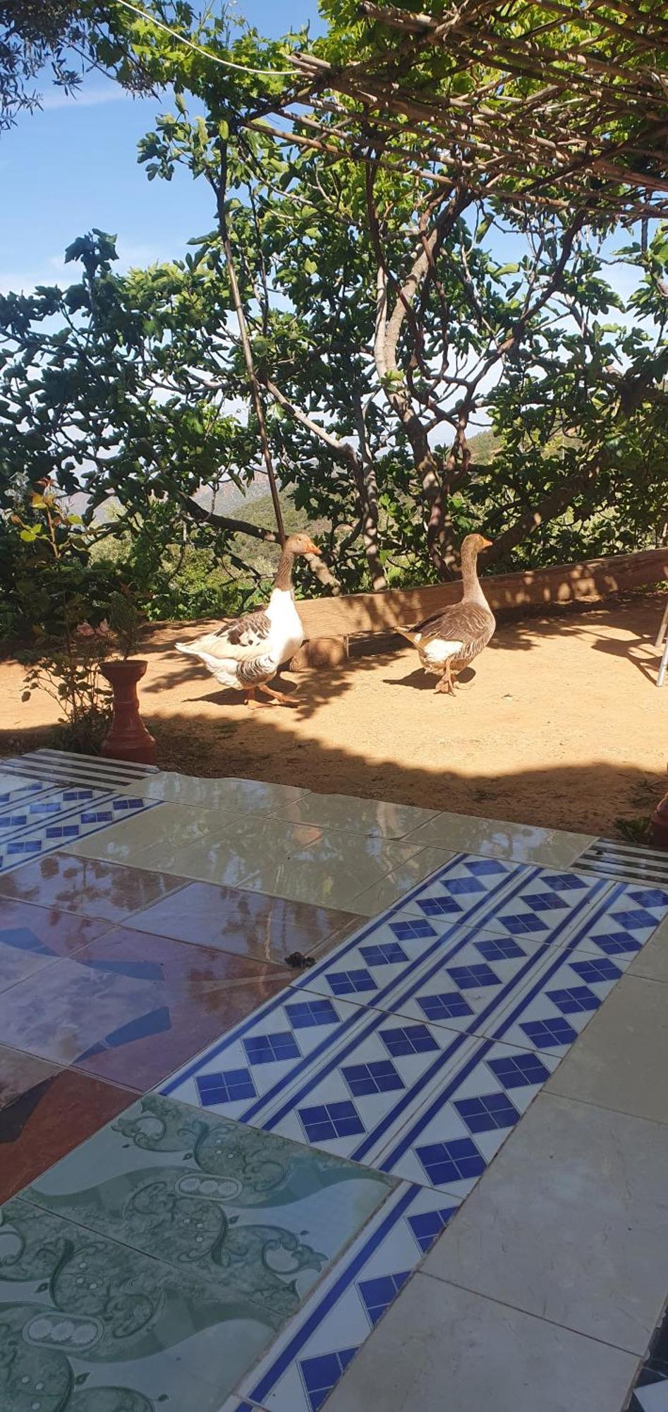 دار الضيافة تازكة Maison D'Hotes Tazekka เตซา ภายนอก รูปภาพ